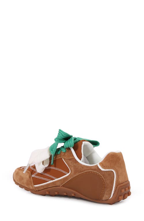 Berness Ribbon Lace Sneaker In Brown