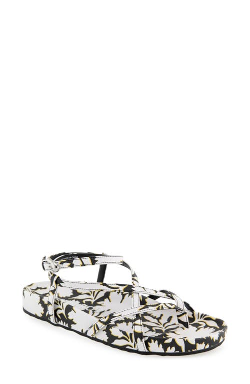AEROSOLES AEROSOLES LEERA ANKLE STRAP FLAT SANDAL 