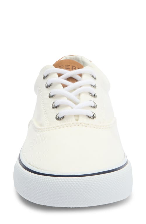 Sperry Striper Ii Cvo Sneaker In White