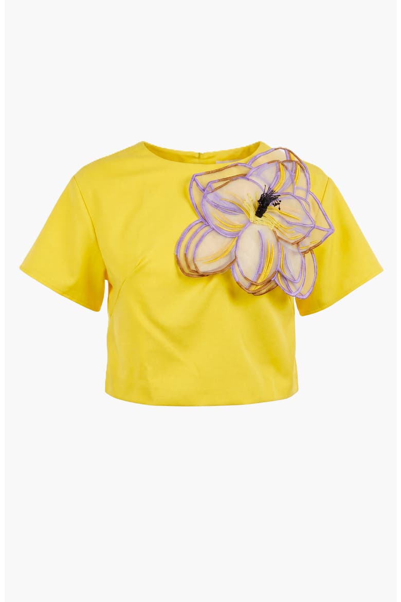 Summer Embroidered Two Piece Set, Alternate, color, Yellow