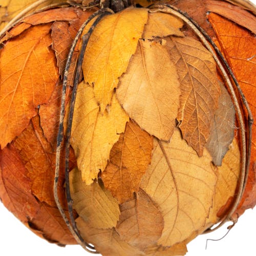Northlight Layered Leaves Fall Harvest Pumpkin With Pinecones Decoration In Multi