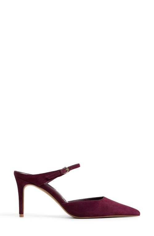 Aldo Sidnney Pointed Toe Pump In Burgundy