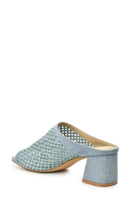 Catherine Catherine Malandrino Levot Braided Raffia Mule In Light Denim