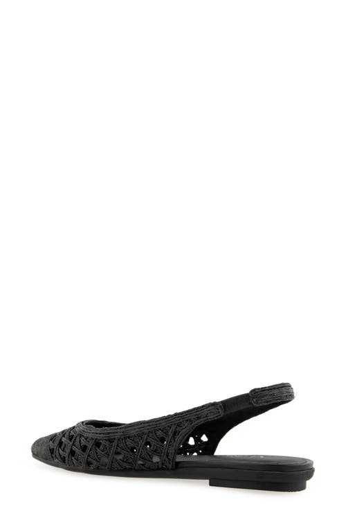 AEROSOLES AEROSOLES DIEGO SLINGBACK POINTED CAP TOE RAFFIA FLAT 