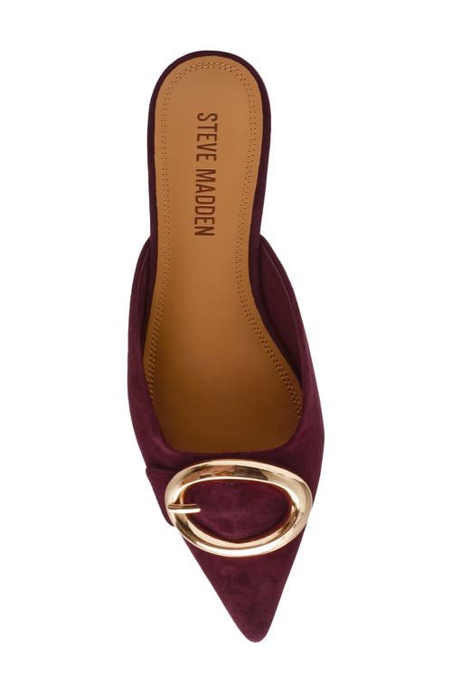 Steve Madden Ira Pointed Toe Mule