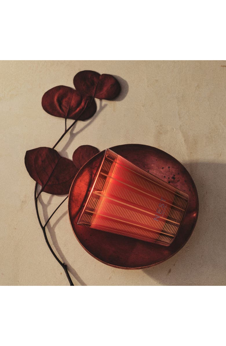 NEST New York Pumpkin Chai Candle, Alternate, color,