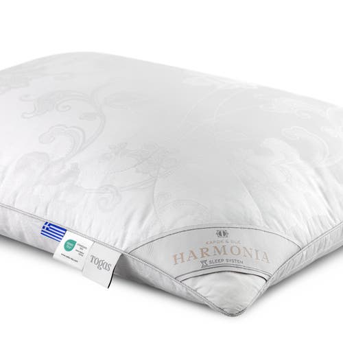 Togas Harmonia Kapok Silk Pillow In Multi