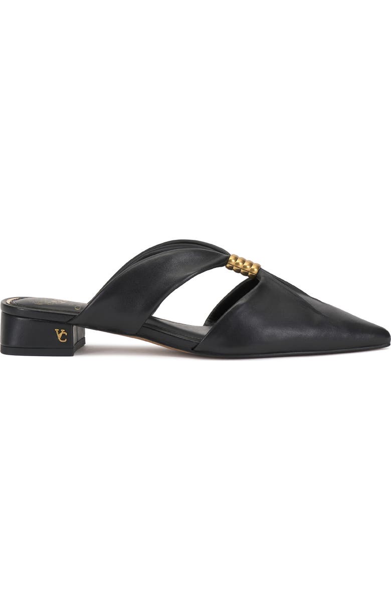 Vince Camuto Vanika Pointed Toe Mule, Alternate, color, Black