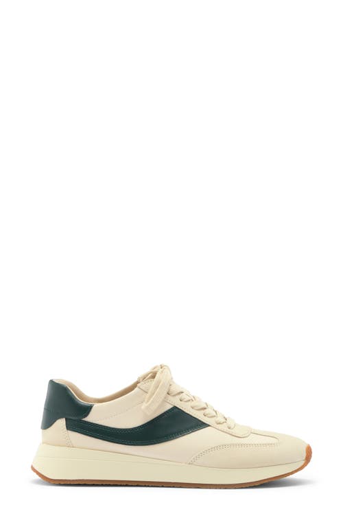 Vince Olla Runner Leather Sneaker In Neutral