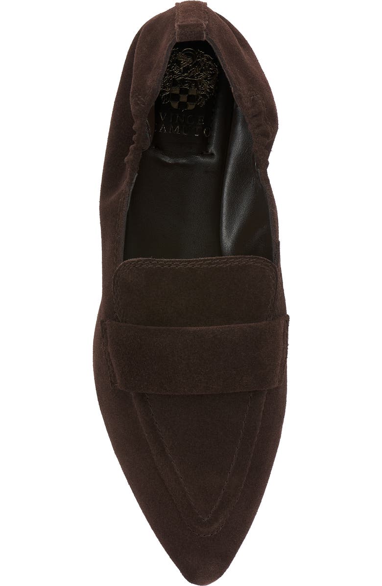 Vince Camuto Azur Flat, Alternate, color, Brownie