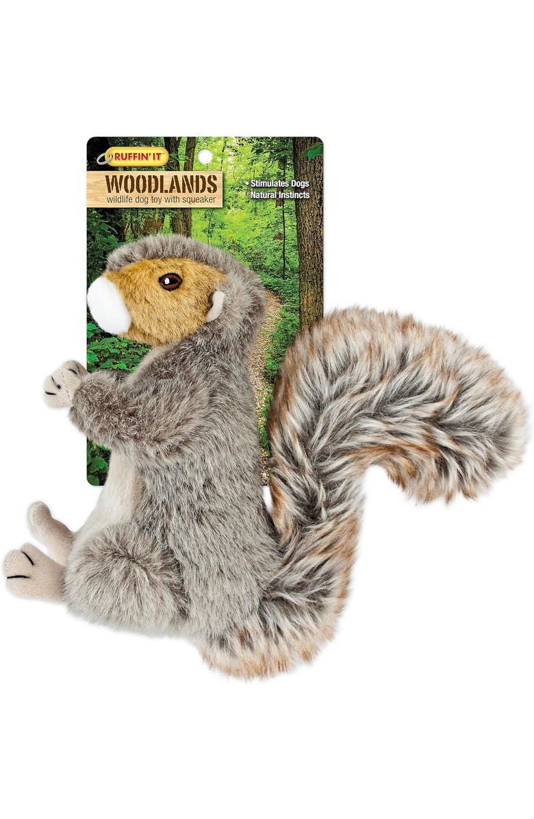 Ruffin' It Woodlands Plush Dog Toy Squirrel, Main, color, Multicolored