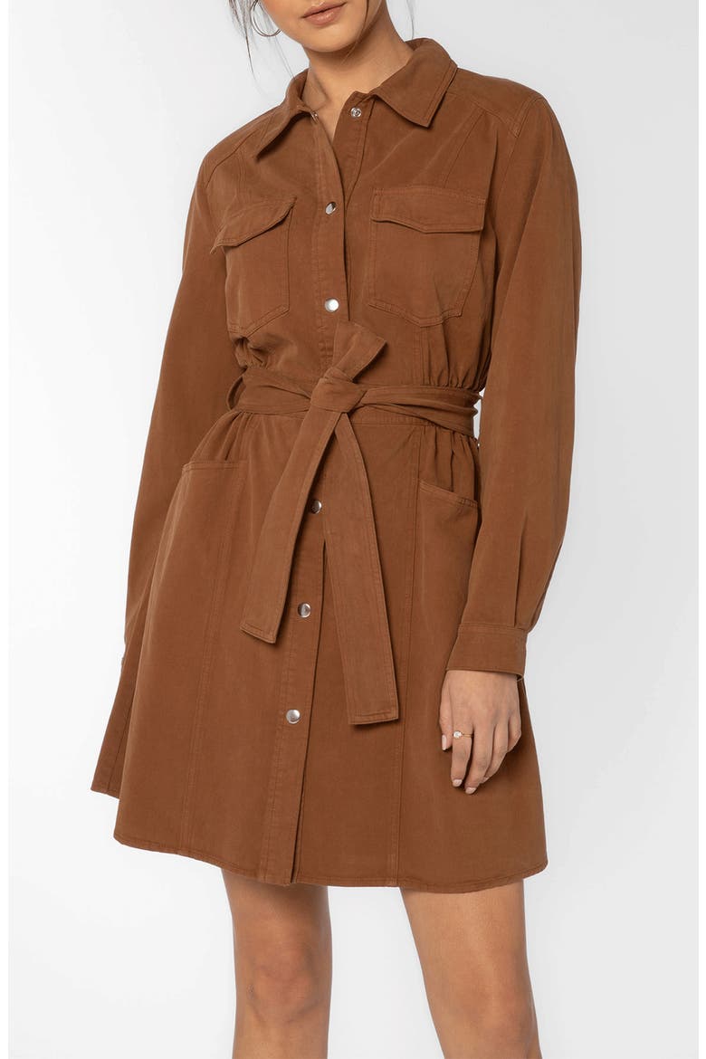 Deena Cotton Button-Up Belted Shirtdress, Alternate, color, JAVA BROWN