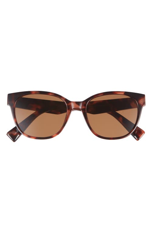Bp. Square Sunglasses In Tortoise