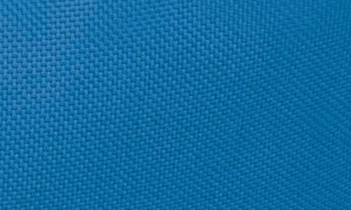 Osprey Daylite Mini Waist Pack In Blue