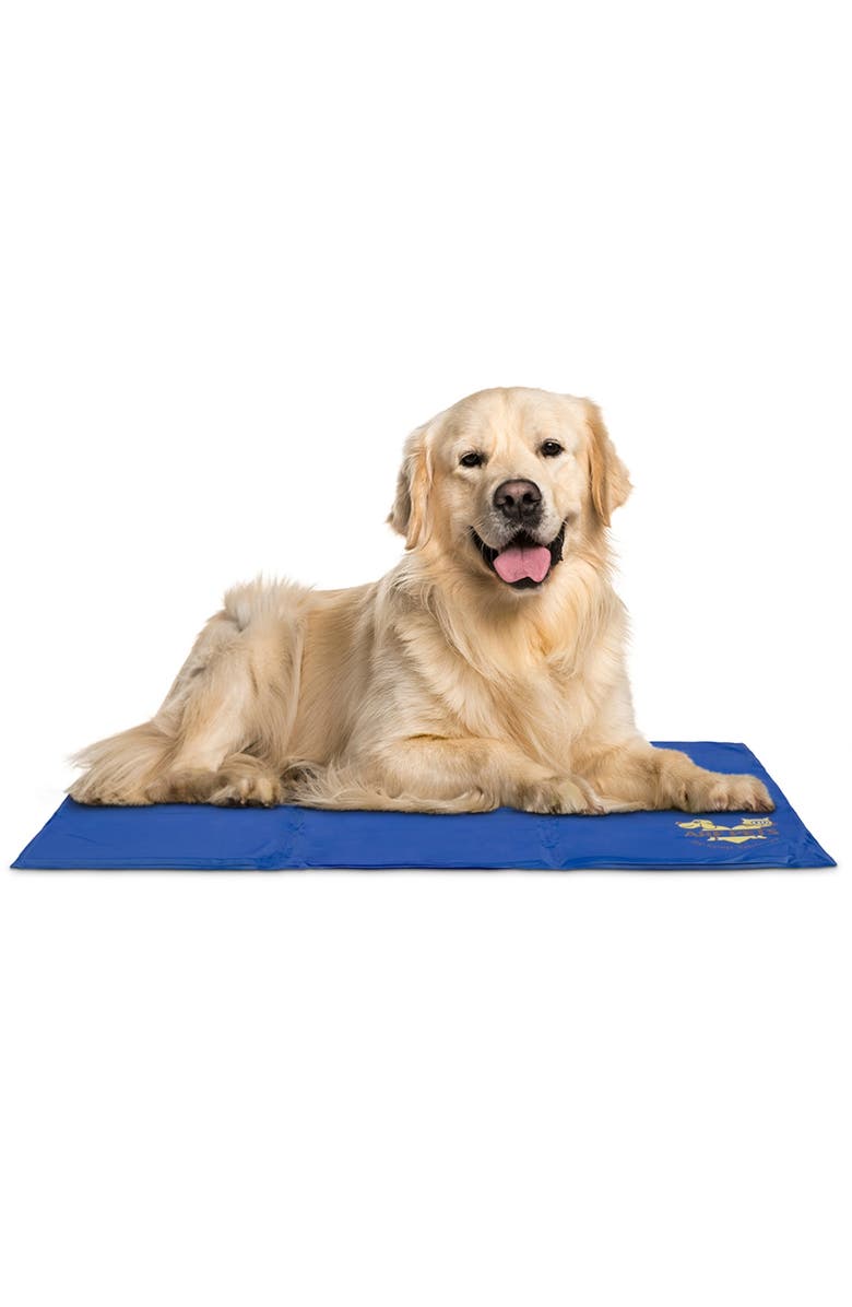 Arf Pets Dog Cooling Mat with Durable Non-Toxic Gel Design, Alternate, color, Blue