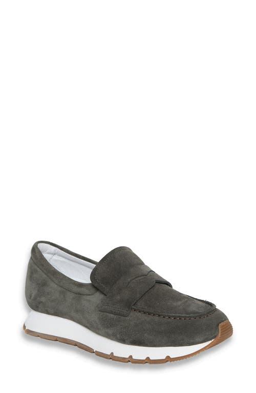 Voile Blanche Julia Hybrid Loafer Sneaker In Gray