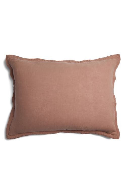 Parachute Set Of 2 Linen Shams In Brown