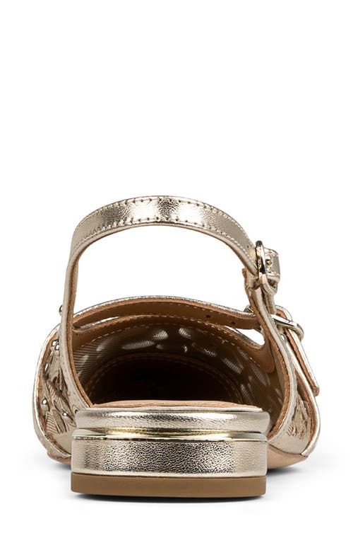 DONALD PLINER DONALD PLINER POINTED TOE SLINGBACK FLAT