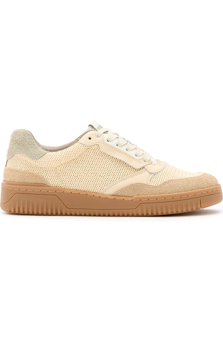 AllSaints Regan Mesh Low Top Sneaker, Alternate, color,