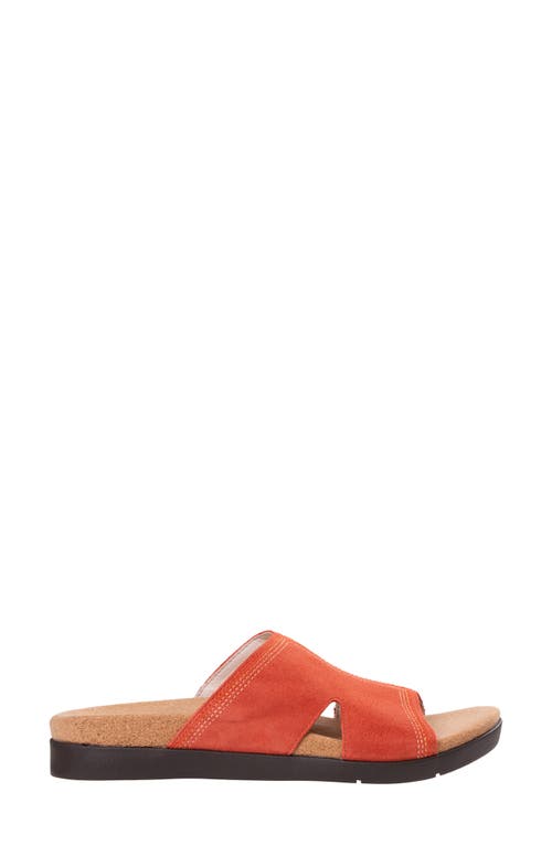 Revitalign Palmetto Slide Sandal In Rooibos Tea