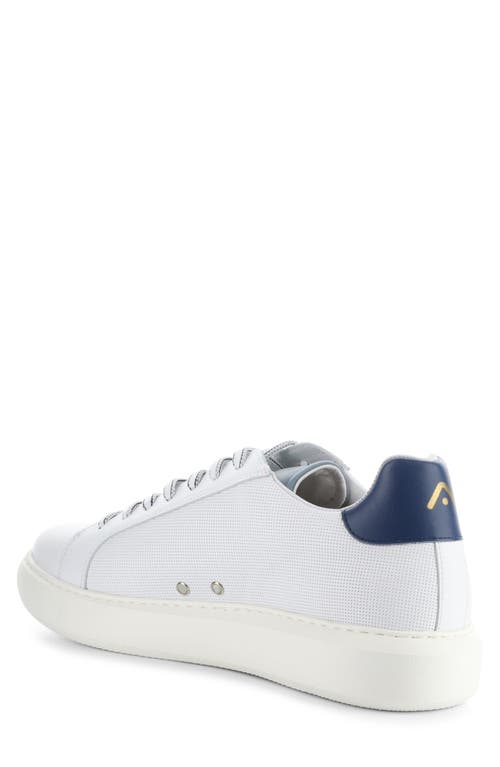 AMBITIOUS AMBITIOUS 10634A LOW TOP SNEAKER