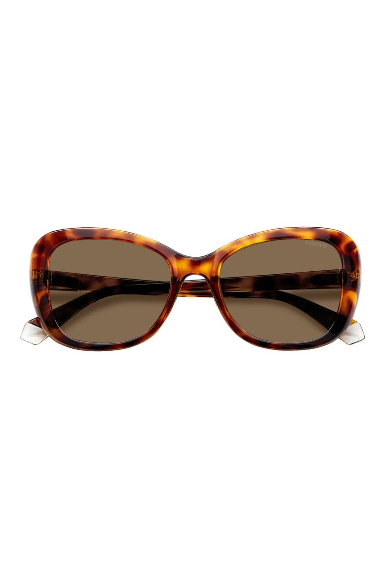 53mm Polarized Cat Eye Sunglasses, Alternate, color, HAVANA/ BRONZE POLAR