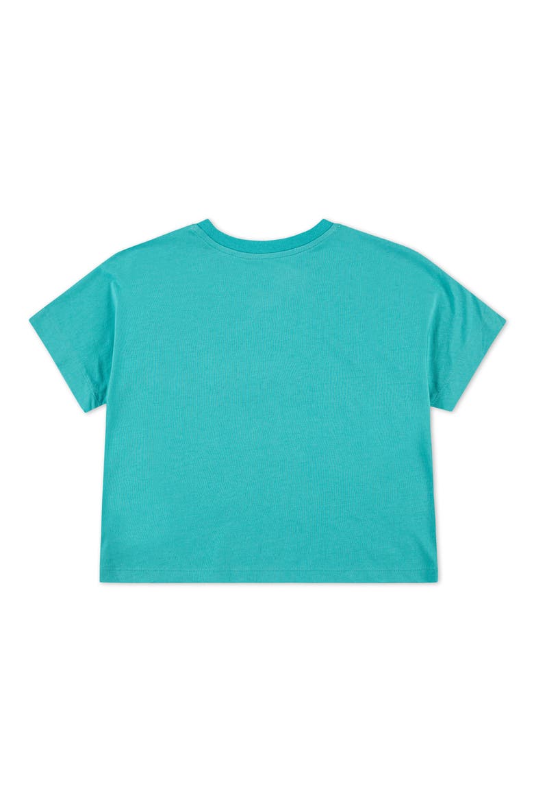 Hidden in Plain Sight Jordan Crewneck Tee, Alternate, color, WASHED TEAL