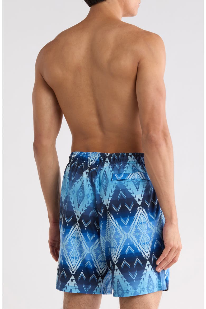Hydroliner Shoreside Swim Trunks, Alternate, color, HELENA RIDGE