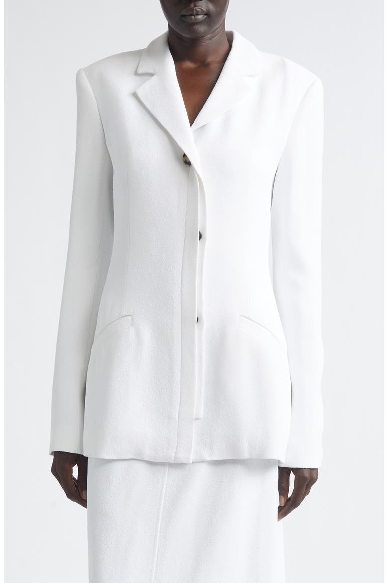Vioni Heavy Sable Blazer, Main, color, WHITE