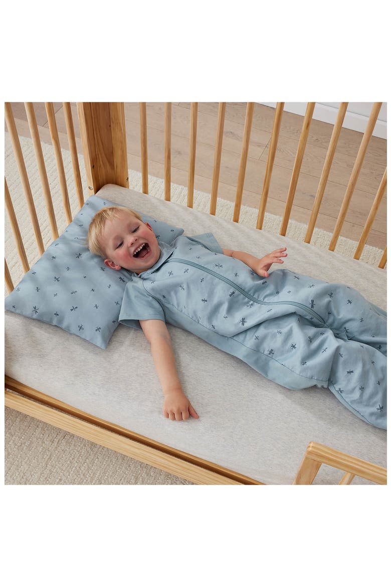 Toddler Pillow & Pillowcase, Alternate, color, DRAGONFLIES