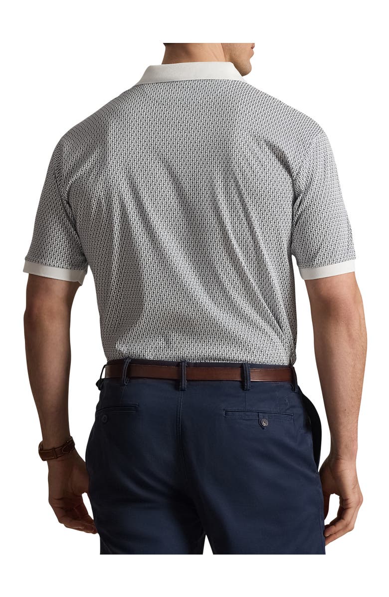 Polo Ralph Lauren Big & Tall Soft Touch Mini Mallets Polo Shirt, Alternate, color, White