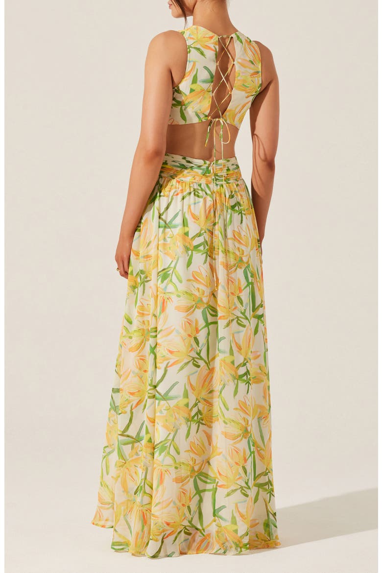 Noya Floral Pleated Cutout Maxi Dress, Alternate, color, YELLOW GRE