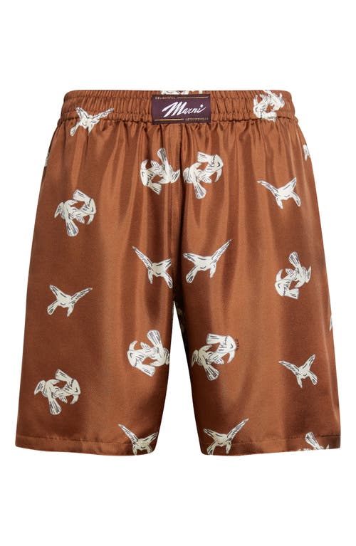 Marni Raven Print Silk Boxer Shorts In Brown