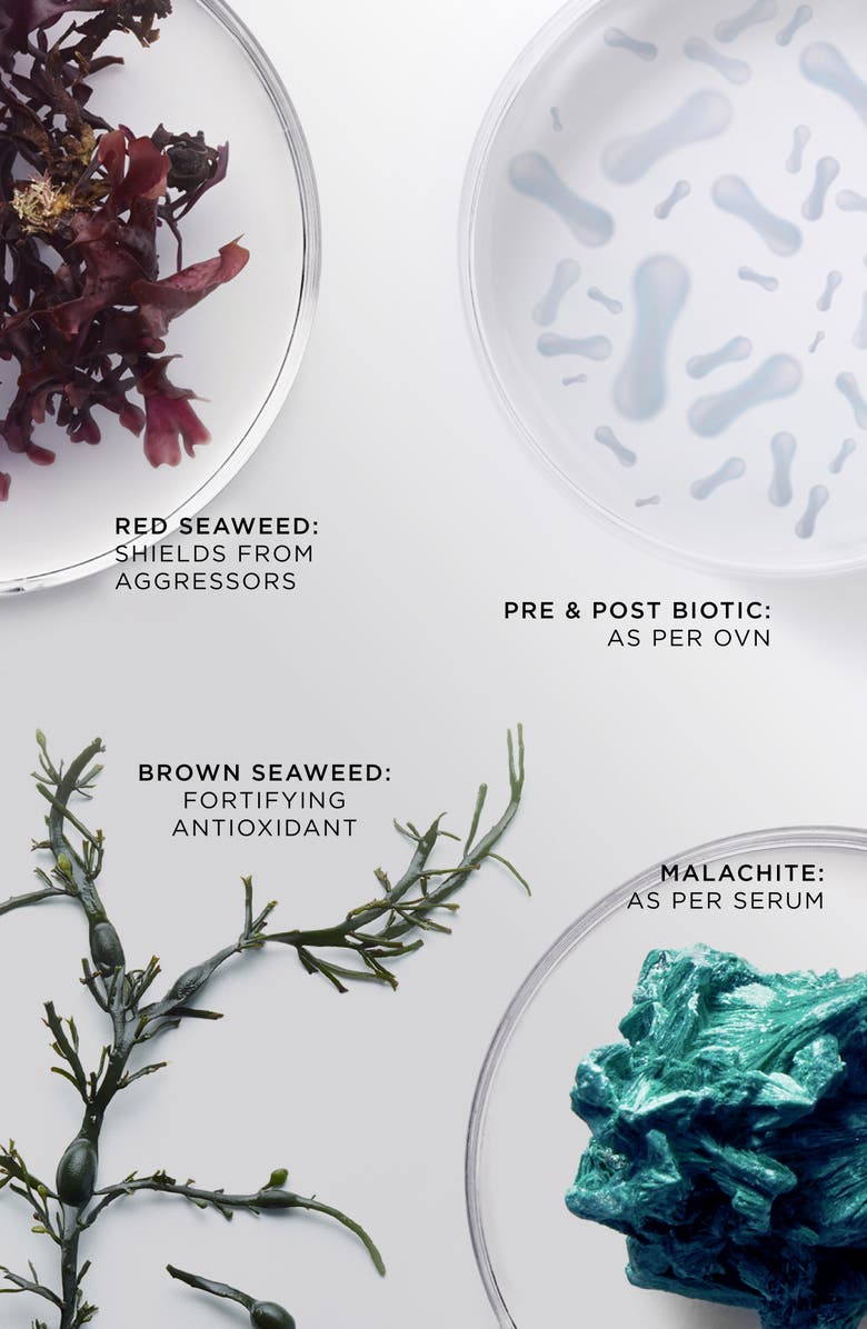 Noble Panacea The Brilliant Radiant Resilience Moisturizer, Alternate, color, Full Size