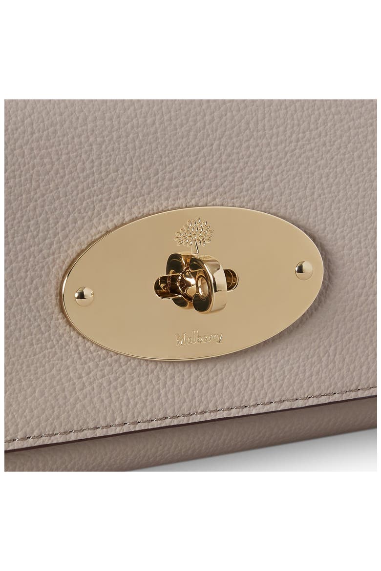 Lily Leather Wallet on a Chain, Alternate, color, CASHMERE TAUPE