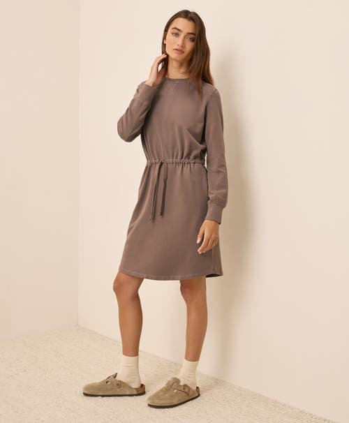 Pact Organic Cotton Cloudknit Sweatshirt Dress In Brown