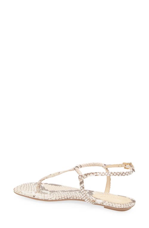 Shop Schutz Elsha Slingback Sandal In Beige Latte
