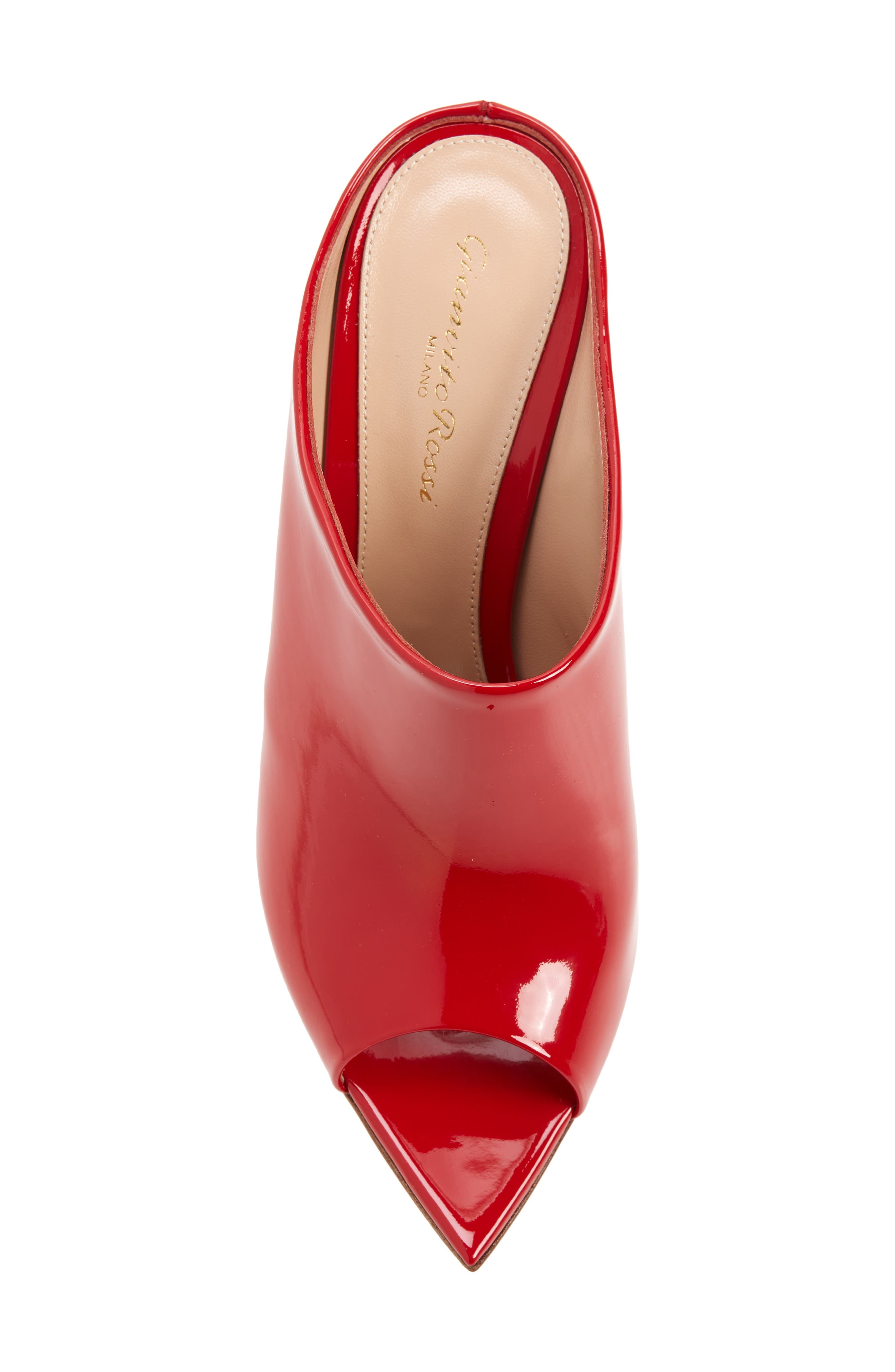 Gianvito Rossi Nova Pointed Toe Mule, Alternate, color, 