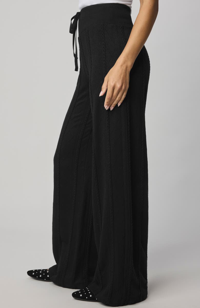 Splendid Cable Drawstring Wide Leg Pants, Alternate, color, Black