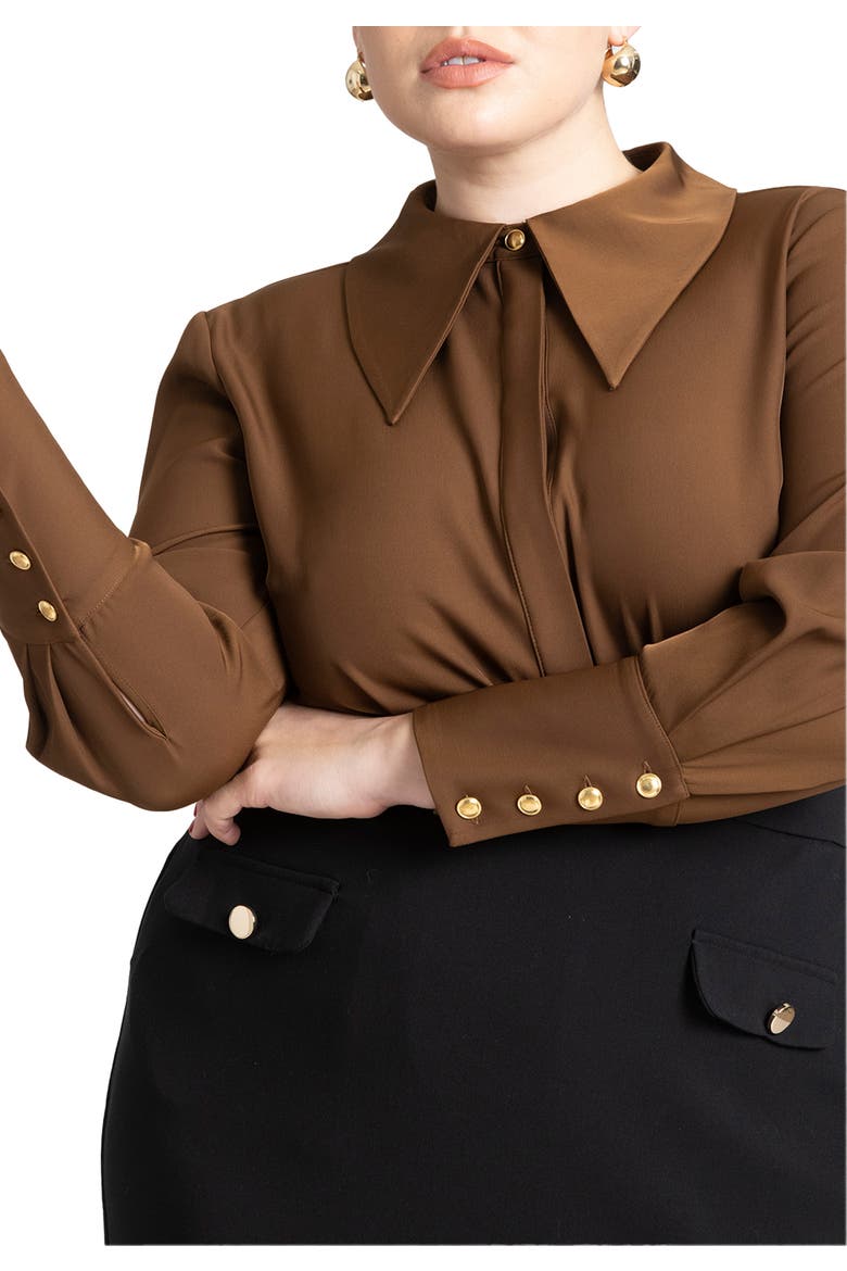 Pointed Collar Button Up Shirt, Main, color, CARAFE