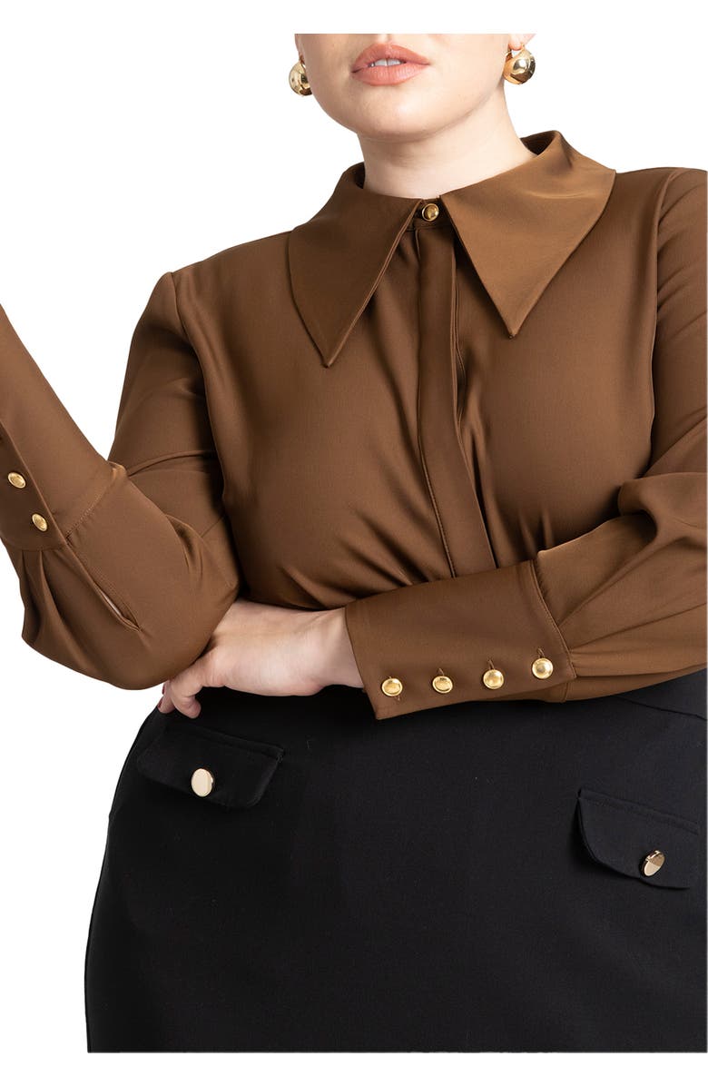 ELOQUII Pointed Collar Button Up Shirt, Main, color, Carafe