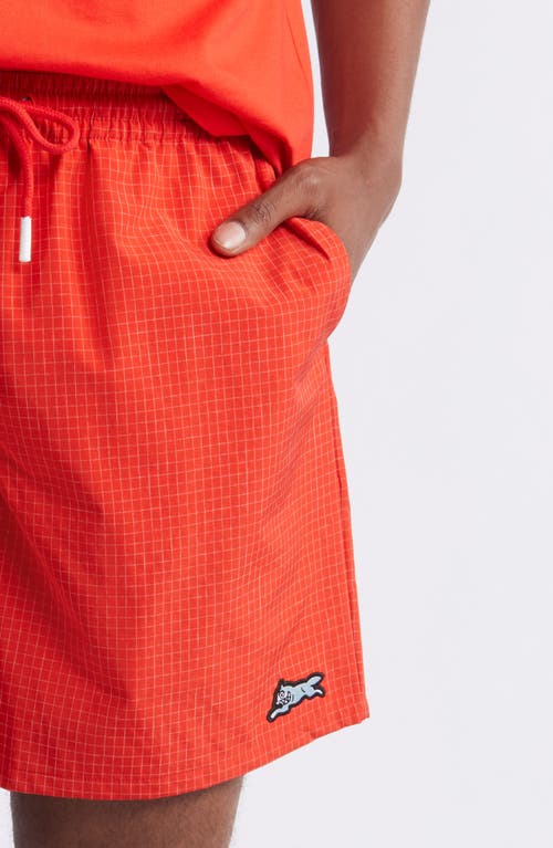 Icecream Pyramid Nylon Shorts In Fiery Red