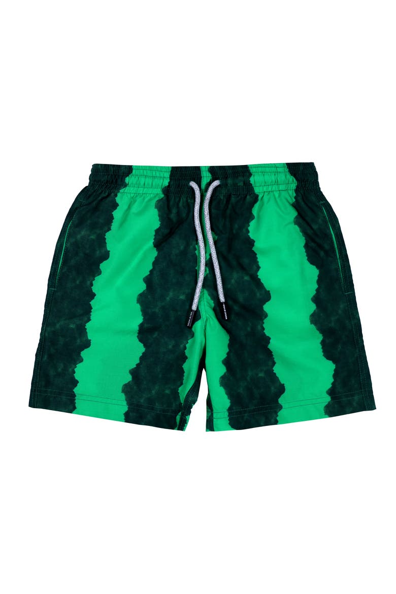 Kids' Green-Black Stripe Quick-Dry Swim Trunks, Main, color, Multicolor