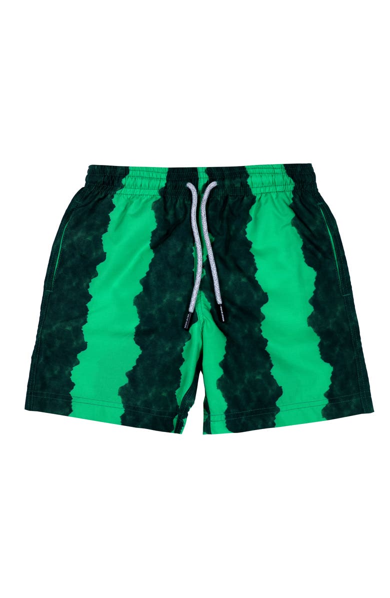 NESSI BYRD Kids' Green-Black Stripe Quick-Dry Swim Trunks, Main, color, Multicolor