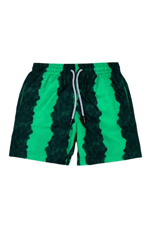 Nessi Byrd Kids' Green-black Stripe Quick-dry Swim Trunks