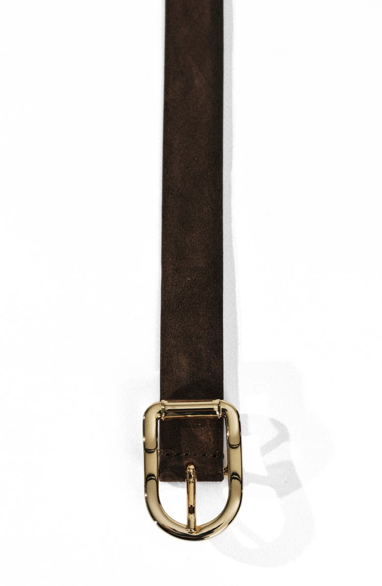 Déhanche Mija Suede Belt, Alternate, color, Chocolate/ Gold