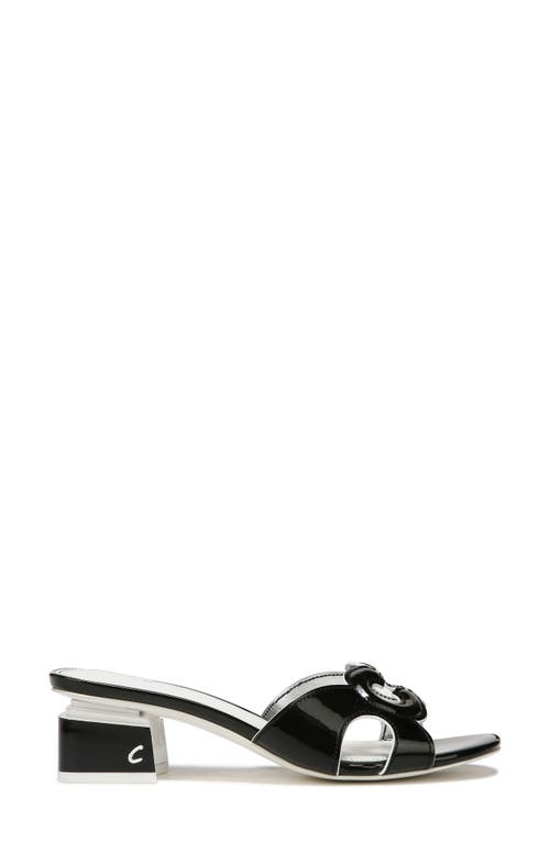 Circus Ny By Sam Edelman Nia Block Heel Sandal In Black