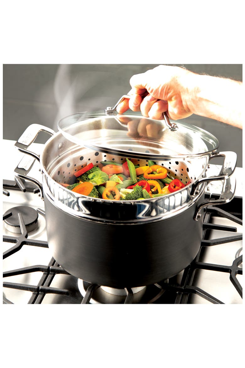 Essentials Steam, Poach & Stew Nonstick 7-Quart Pot with Multipurpose Insert and Lid, Alternate, color, BLACK