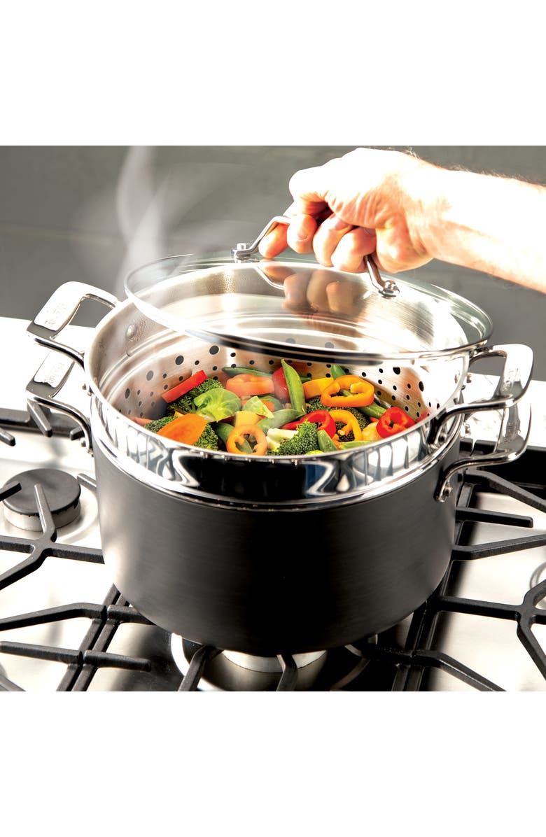 All-Clad Essentials Steam, Poach & Stew Nonstick 7-Quart Pot with Multipurpose Insert and Lid, Alternate, color, Black