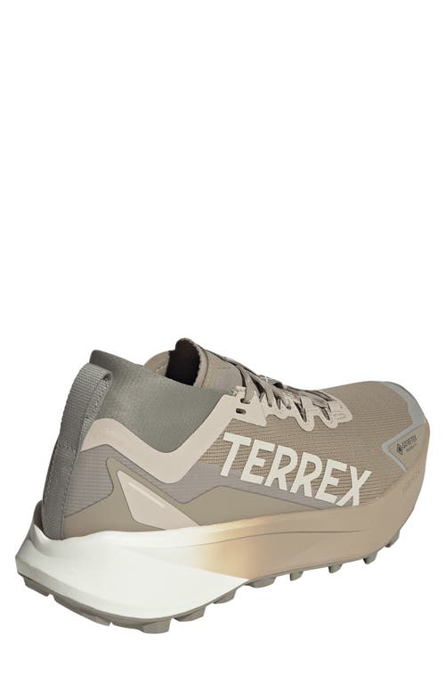 Adidas Originals Adidas Terrex Agravic Gore-tex® Trail Running Shoe In Brown